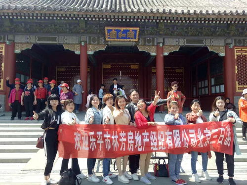 誠聘精英，共創輝煌 置業顧問與房地產信息咨詢專業人才招募